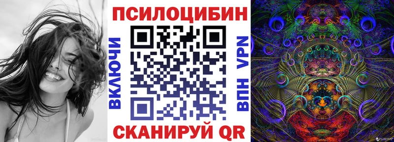 Купить где  Шарья  Галлюциногенные грибы мухоморы 